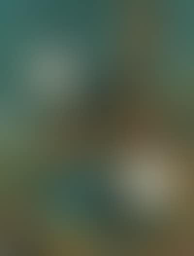 Two vultures by tree in extensive landscape (preview)
