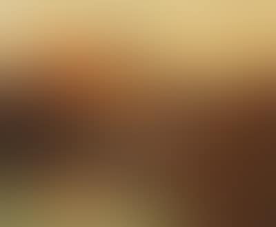 Evening in West Highlands (preview)