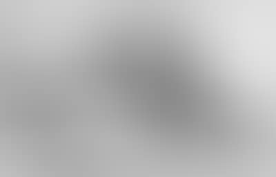 Wooded landscape. Study of man standing in robe (preview)