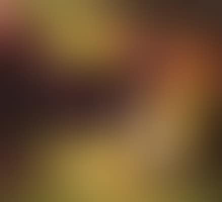 Composition (preview)
