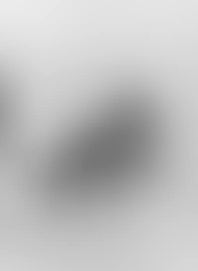 Civet, looking backwards (preview)