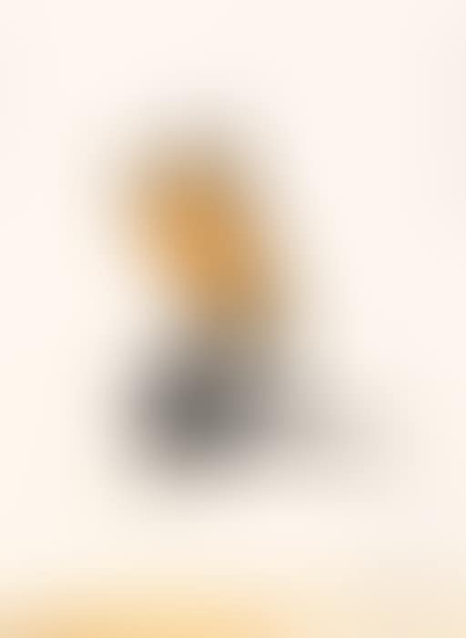 Cigarette butt (preview)