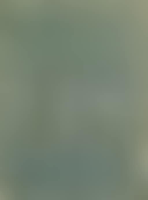 Five nude soldiers holding poles and three nude women (preview)