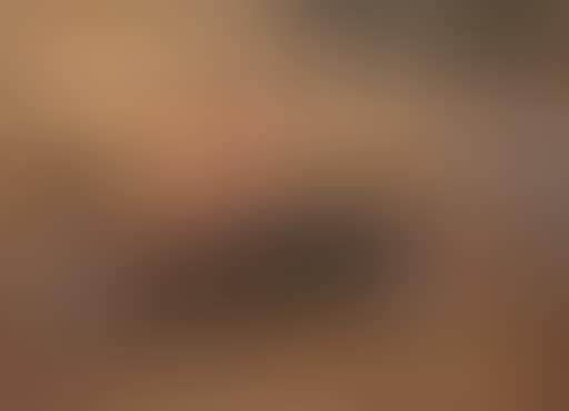 The picnic, Bois du Boulogne, Paris (preview)