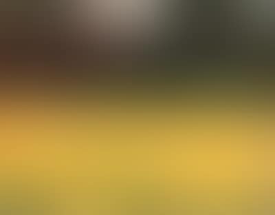 Yellow nasturtiums (preview)