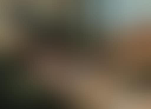 La fiesta (preview)