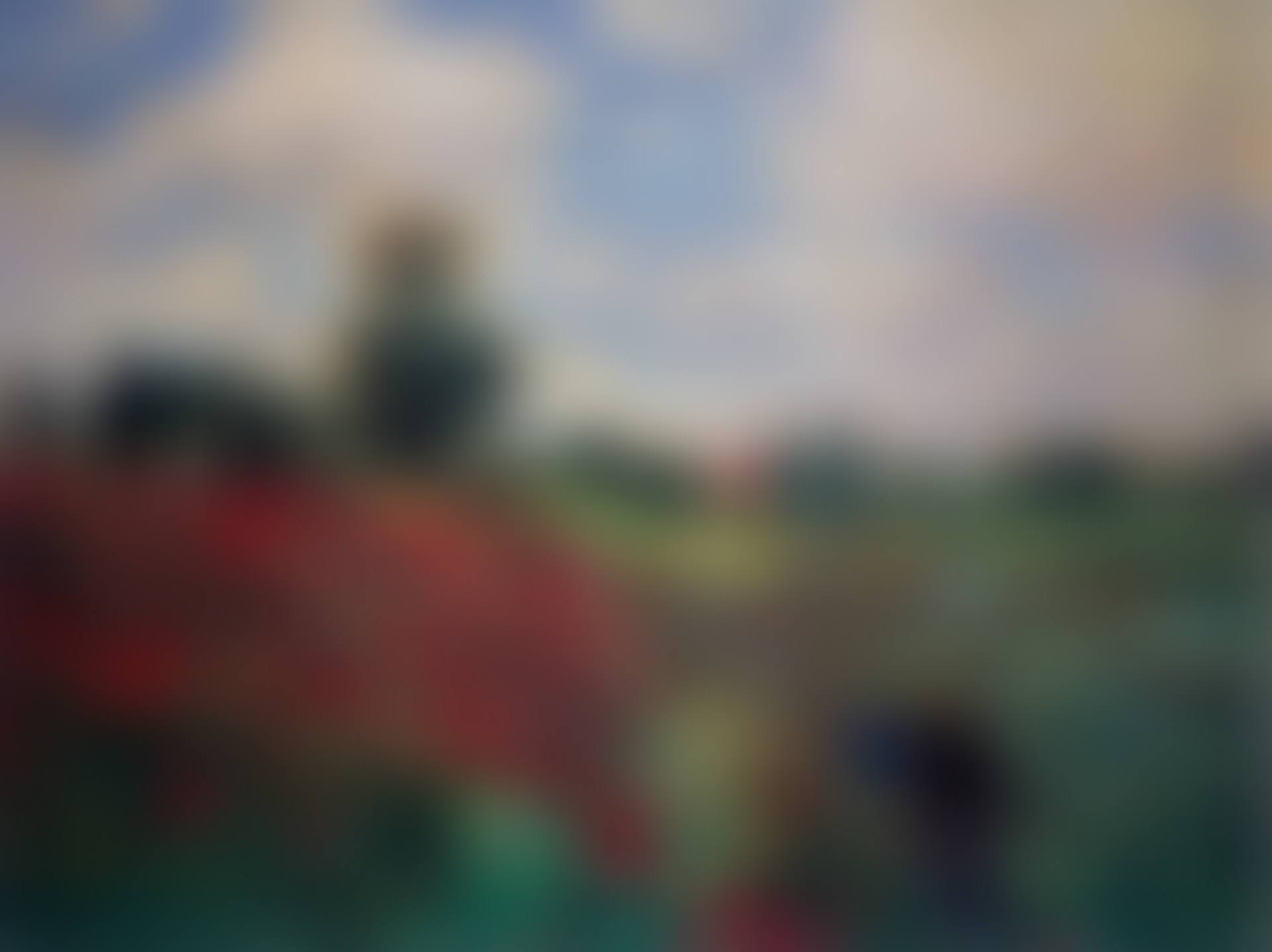 The Poppy Field at Argenteuil, after Claude Monet from Pictures of Pigment (preview)