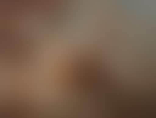 Rinaldo and Armida (preview)