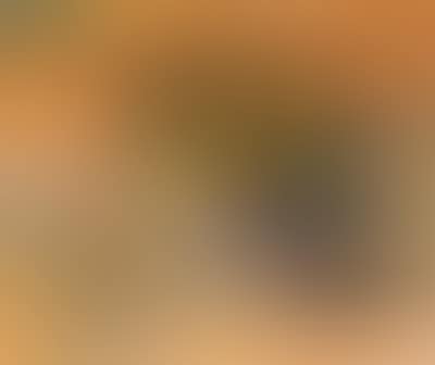 Still life with fruit (preview)