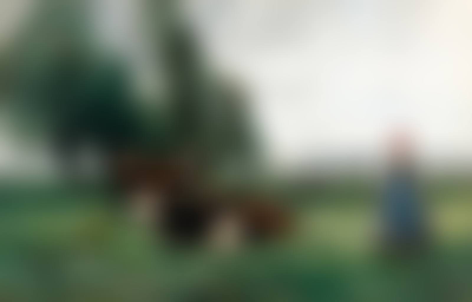 La laitière (preview)