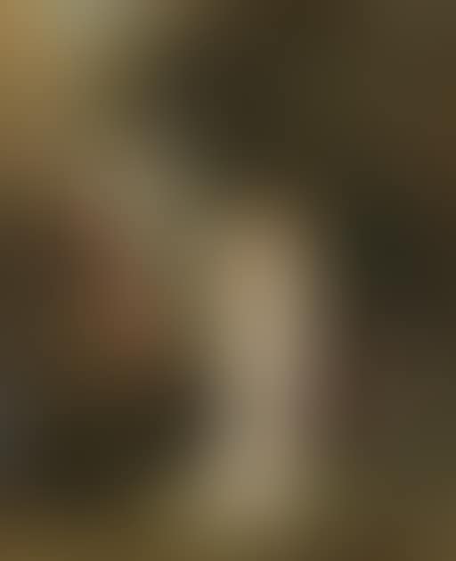 Baigneuses (preview)