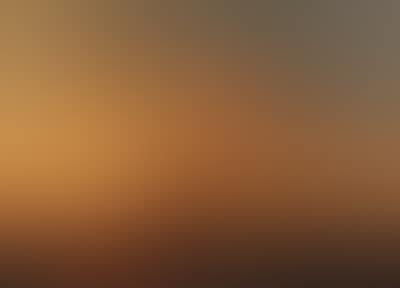Camel-cart at sunset in coastal landscape (preview)