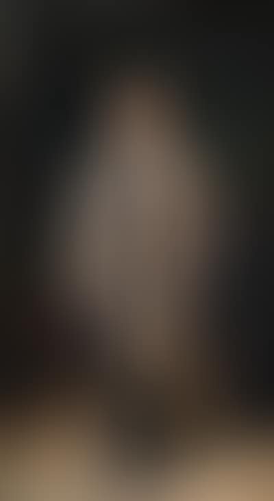 Portrait of Friedrich Franz III (preview)
