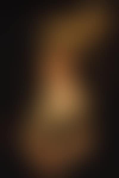 Portrait of Queen Maria Louisa of Spain, in feathered hat (preview)