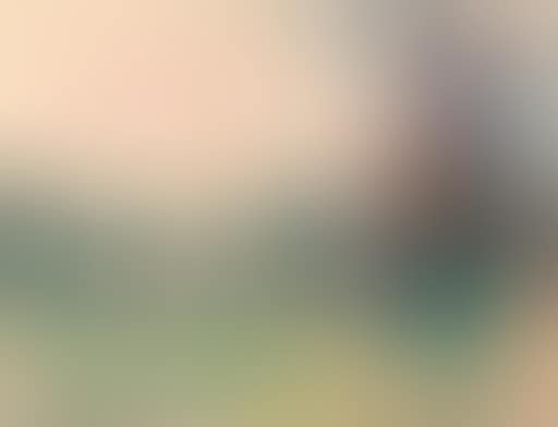 Landscape with windmill (preview)