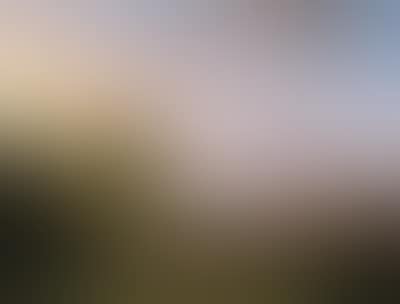 Figures on a country road (preview)