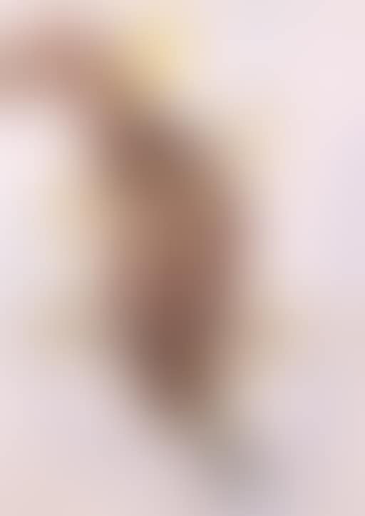 Platypus (preview)