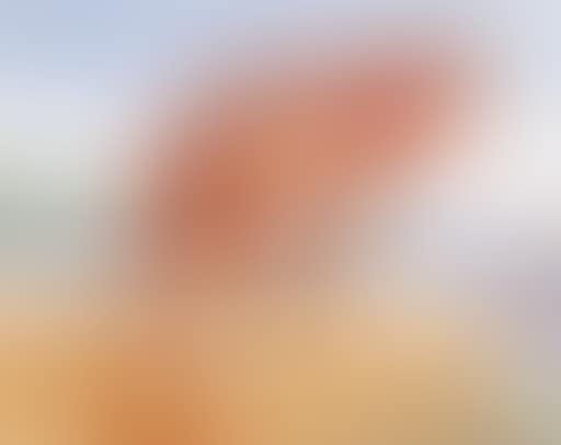 Cat, Bundeena (preview)