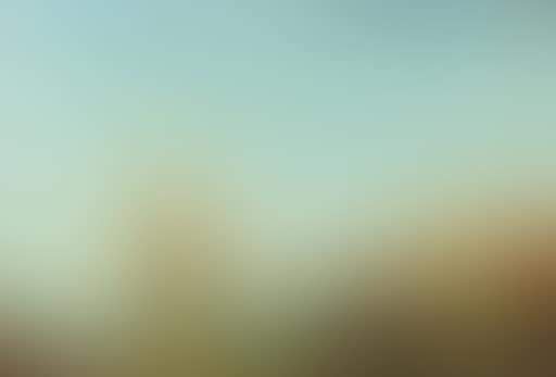 Vue de Venise (preview)