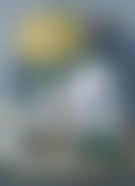 Natura morta (preview)