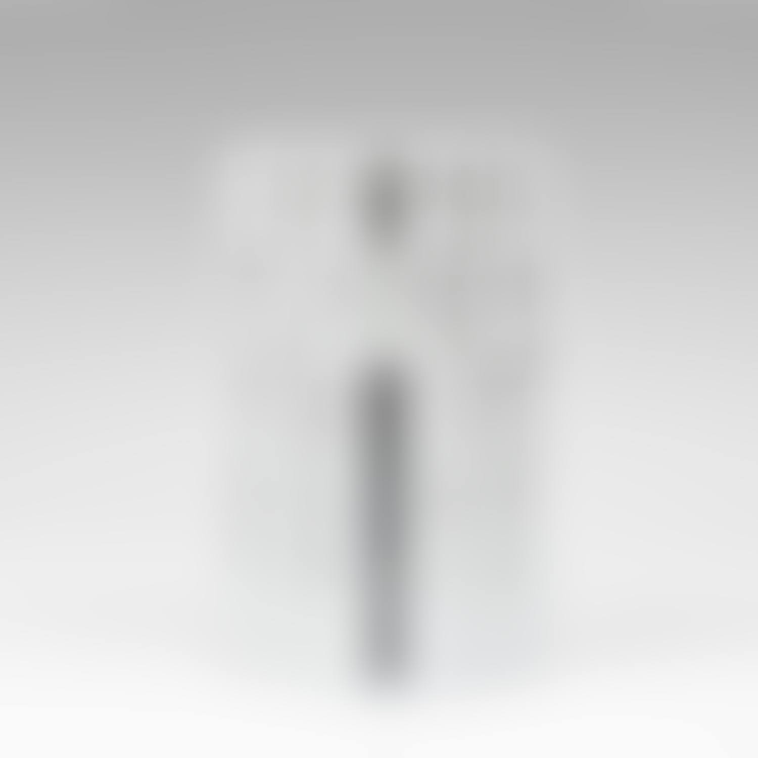 Model for the Torah Ark Doors of Temple Beth El (preview)