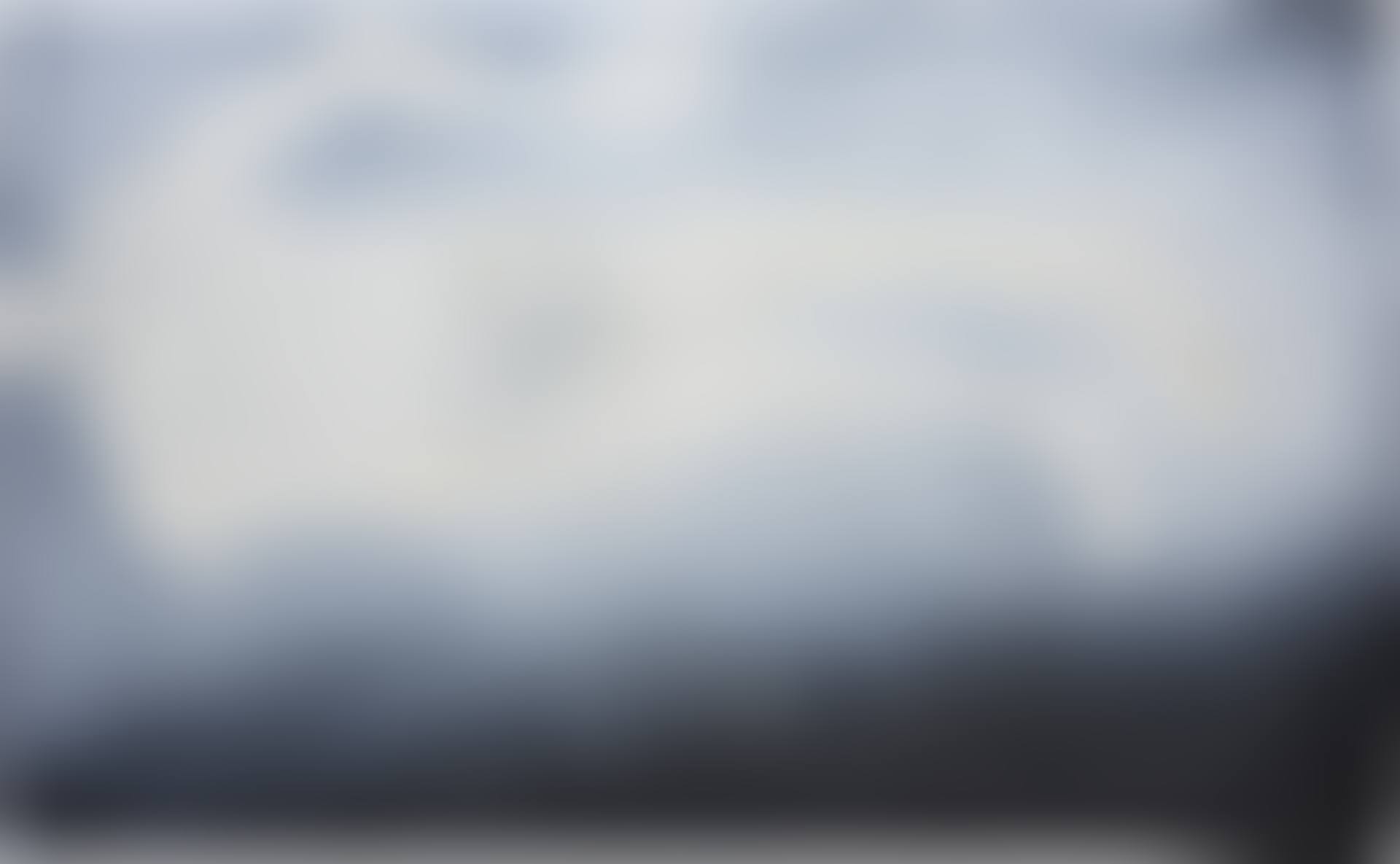 Wir fahren aus (preview)