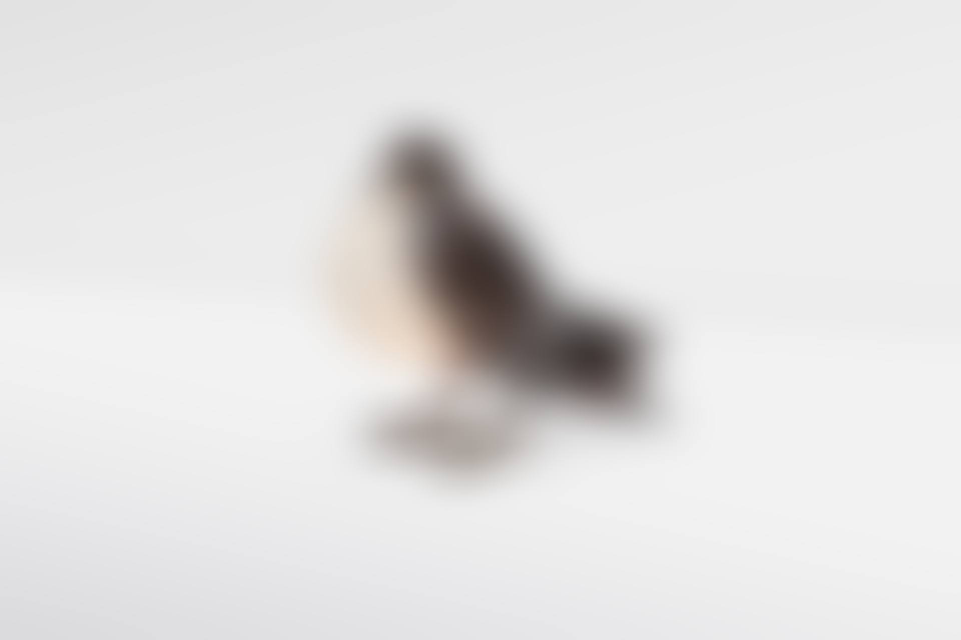 LAMPE 'PIGEON' (preview)