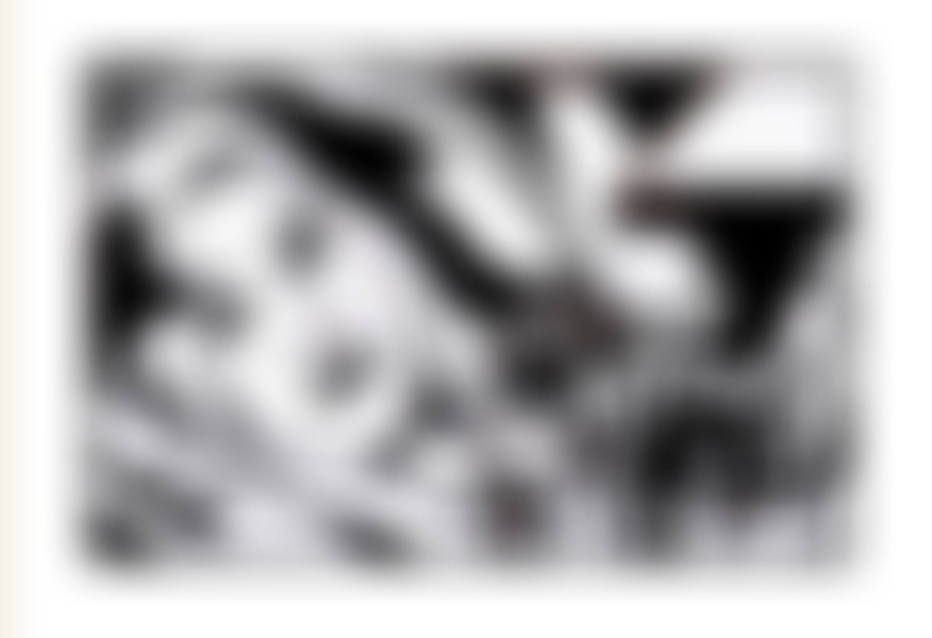 Bedroom Brunette with Irises (Black Variation #1) (preview)