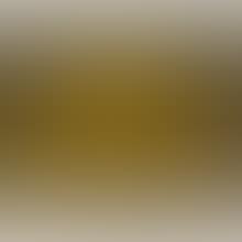 PUMPKIN (YELLOW Y) (preview)