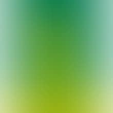 LEMON SQUASH(1) (preview)