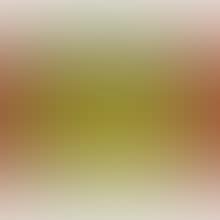 PUMPKIN (preview)
