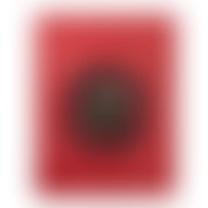 IN FOREST (preview)