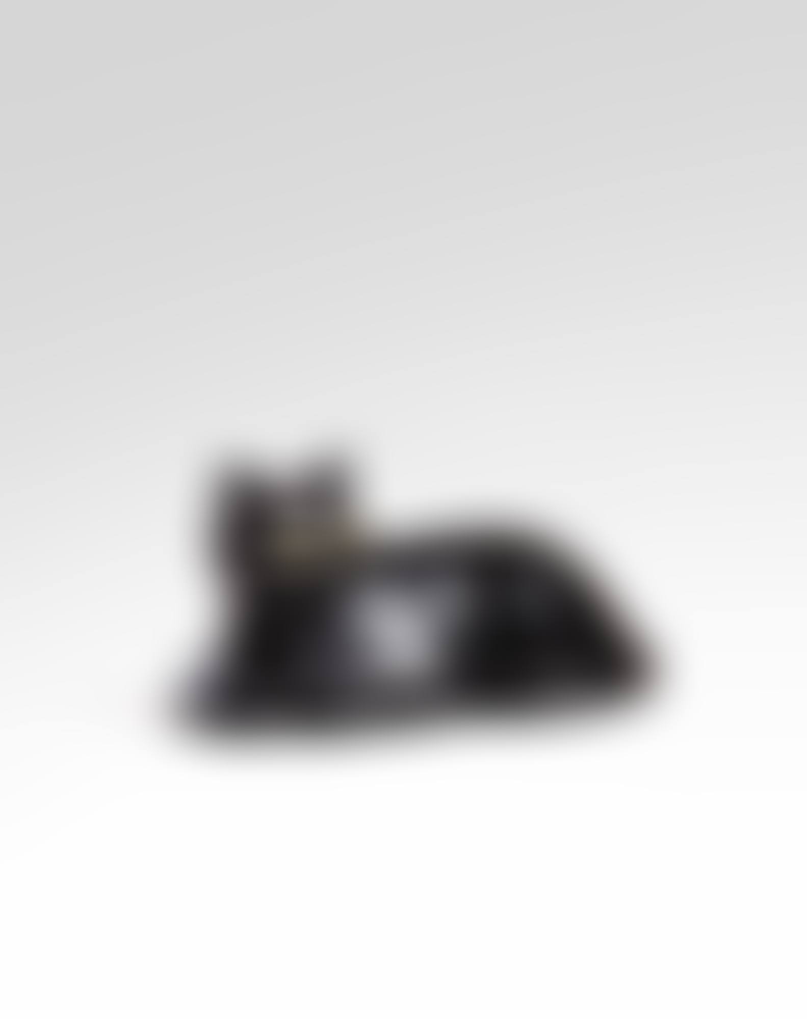 Le Chat (preview)