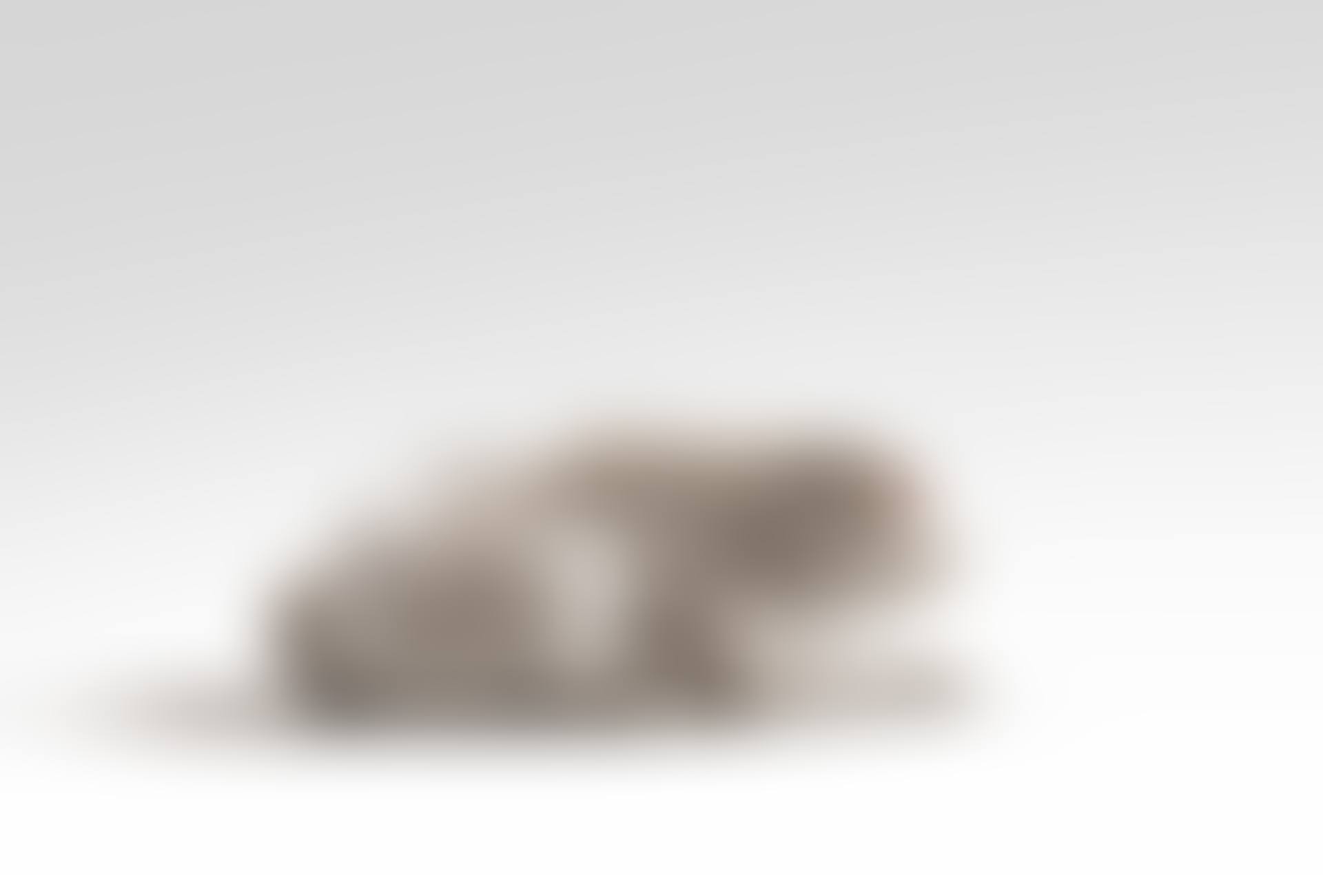 Le lapin (preview)