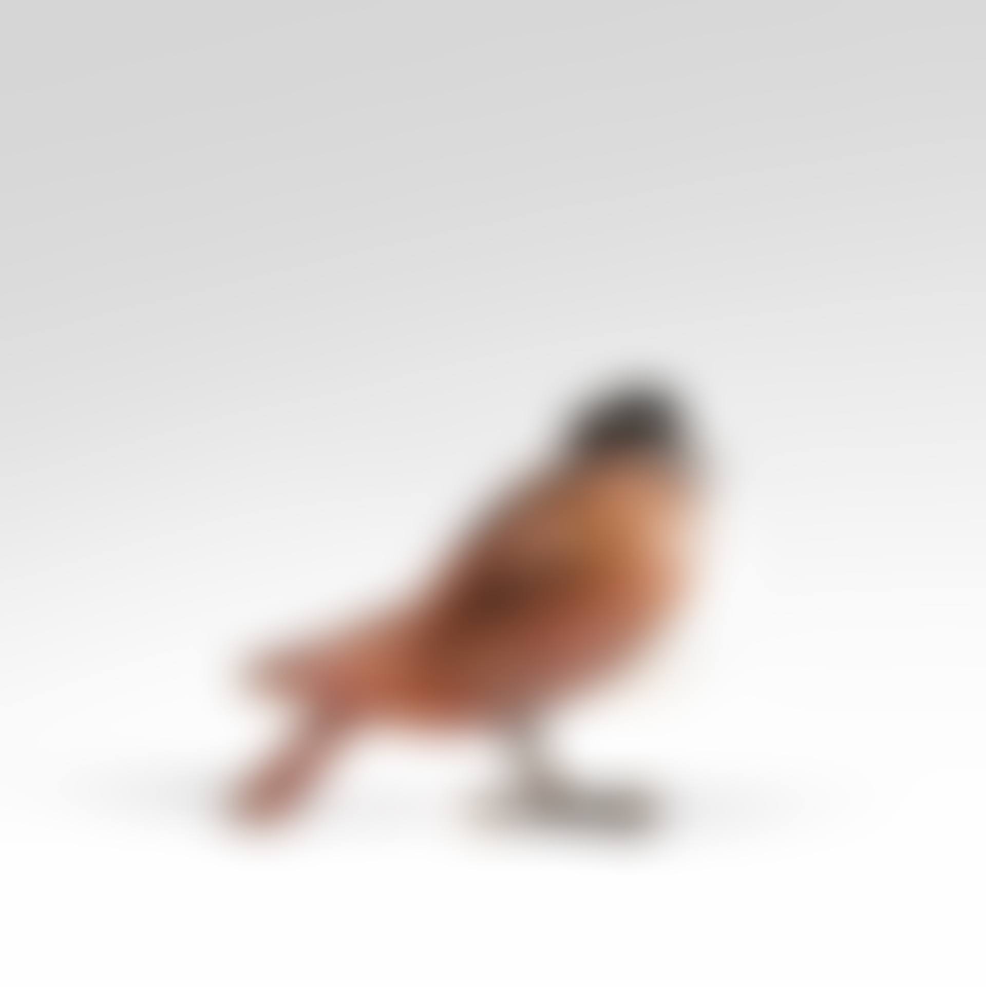 Lampe pigeon (preview)