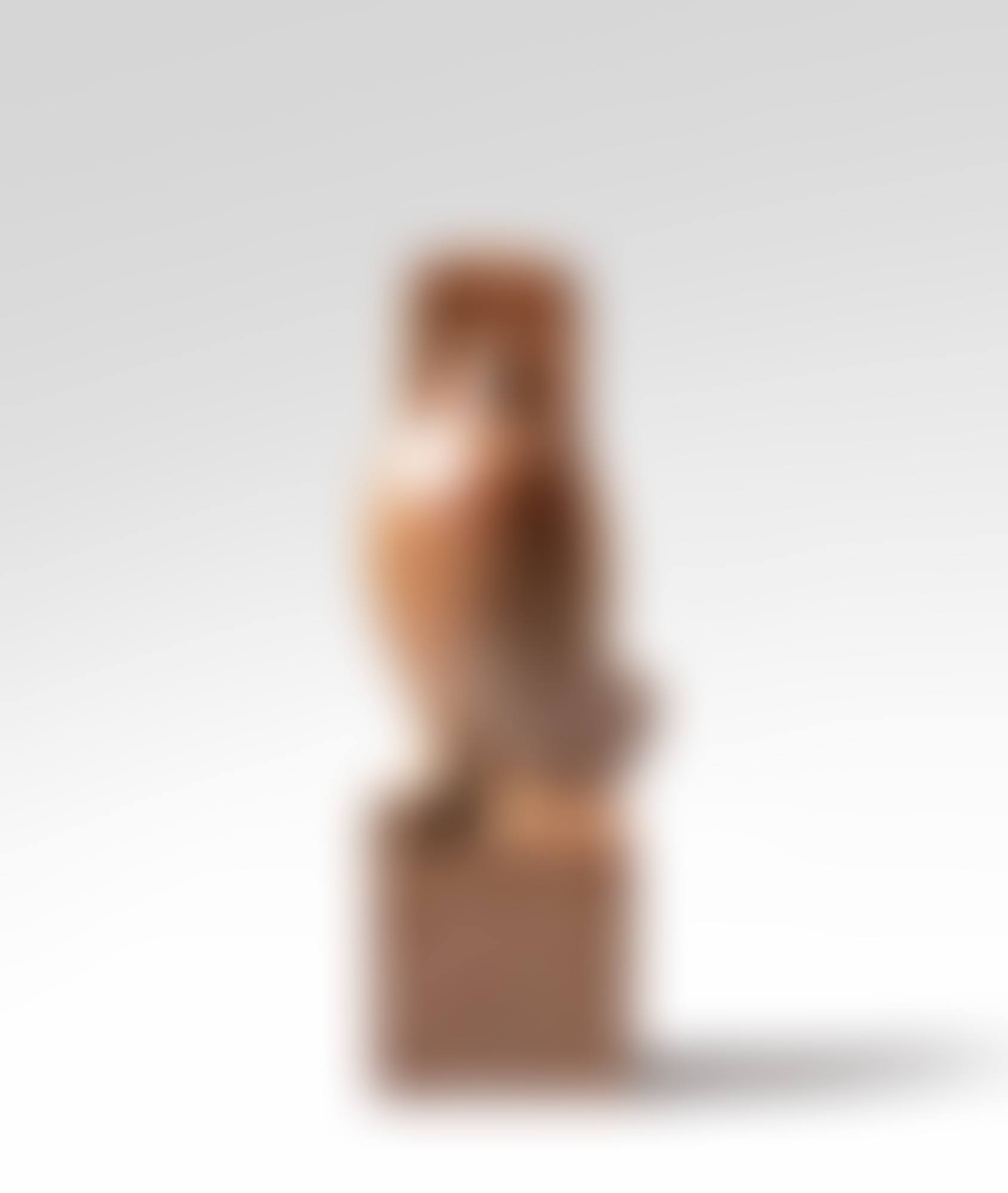Hibou de Meryll (preview)