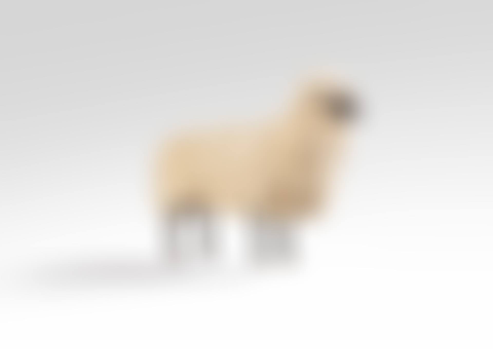 Mouton de Laine (preview)