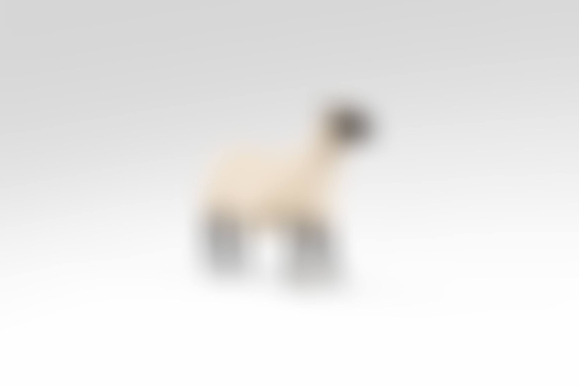 Brebis, from the Nouveaux Moutons series (preview)