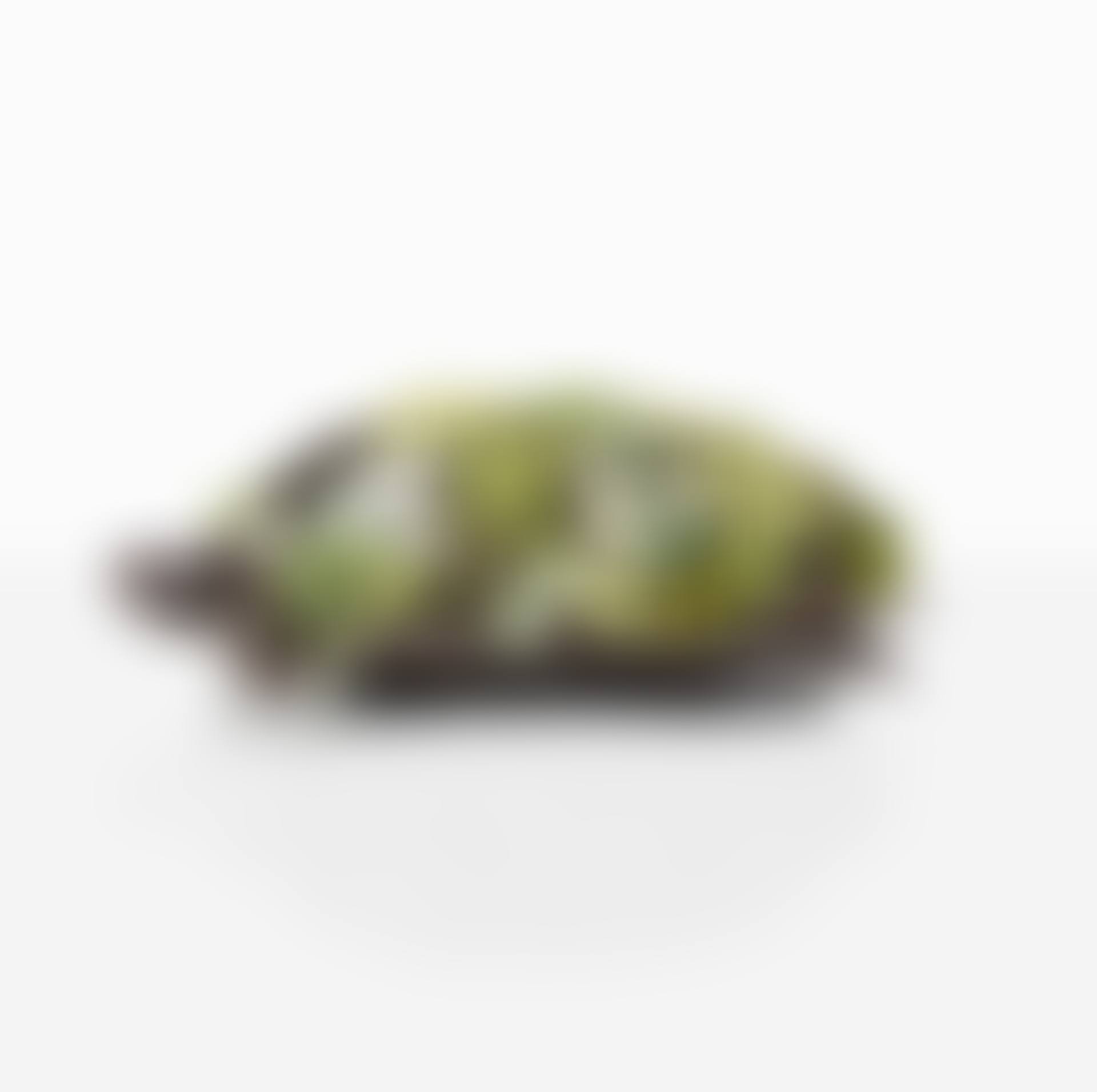 Tortue Topiaire I (preview)