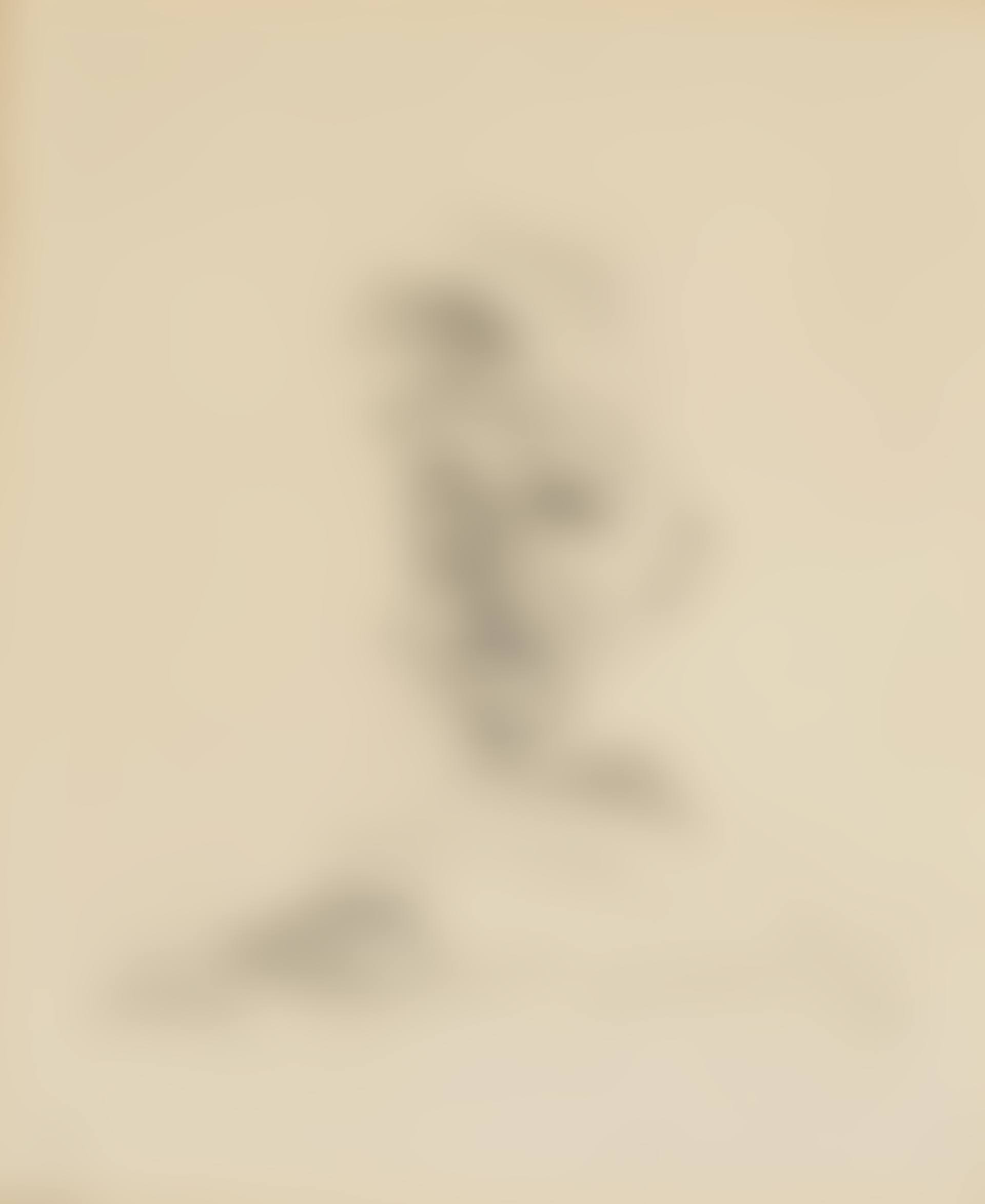 Rimbaud vu par las peintres (preview)