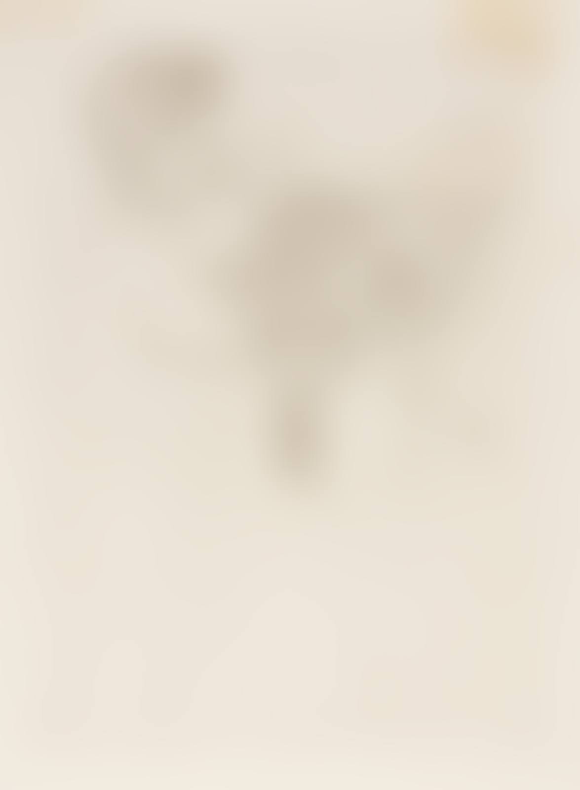 Looking into the Hand Mirror, No. 2 (preview)