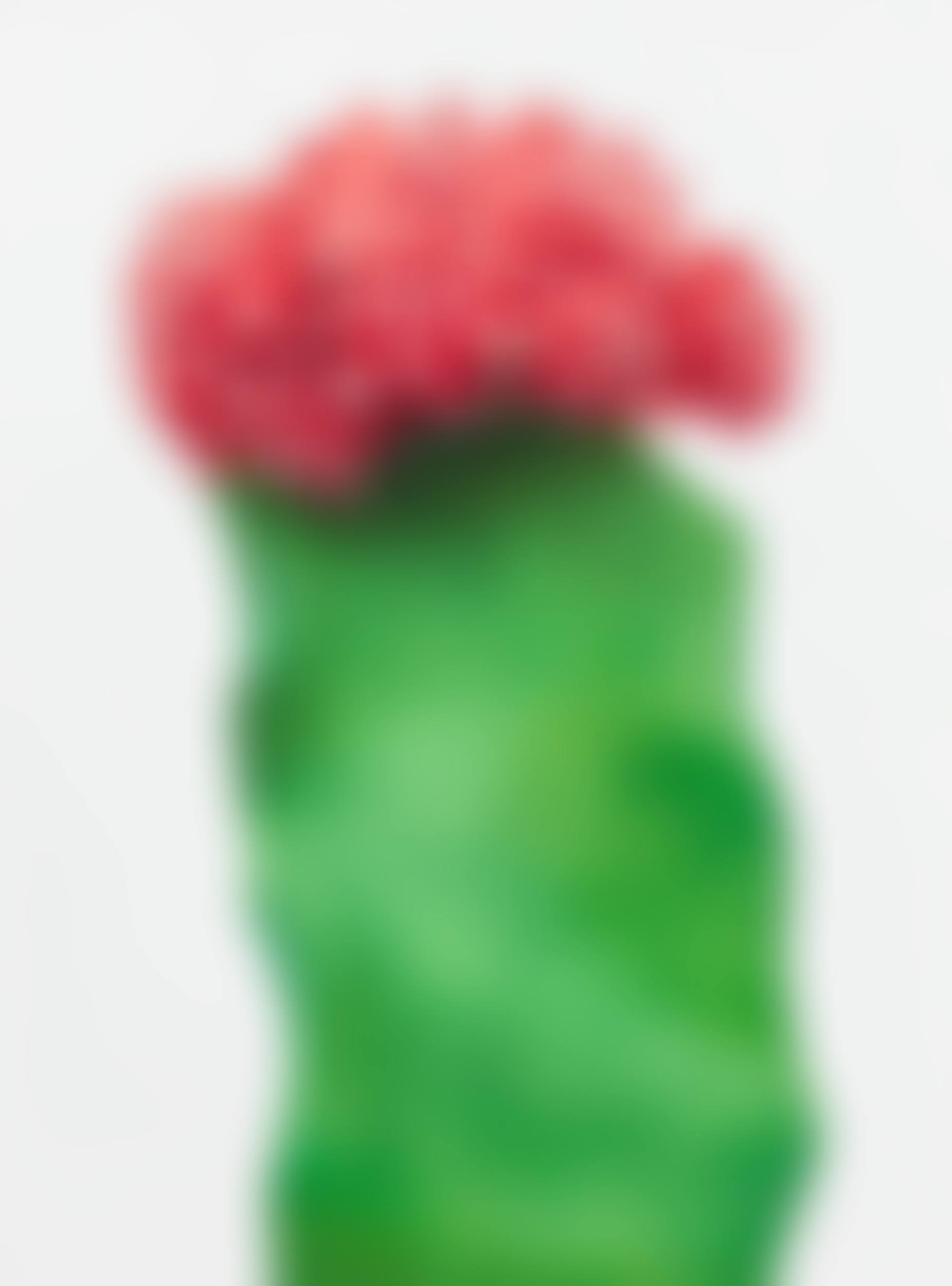 Cactus (preview)