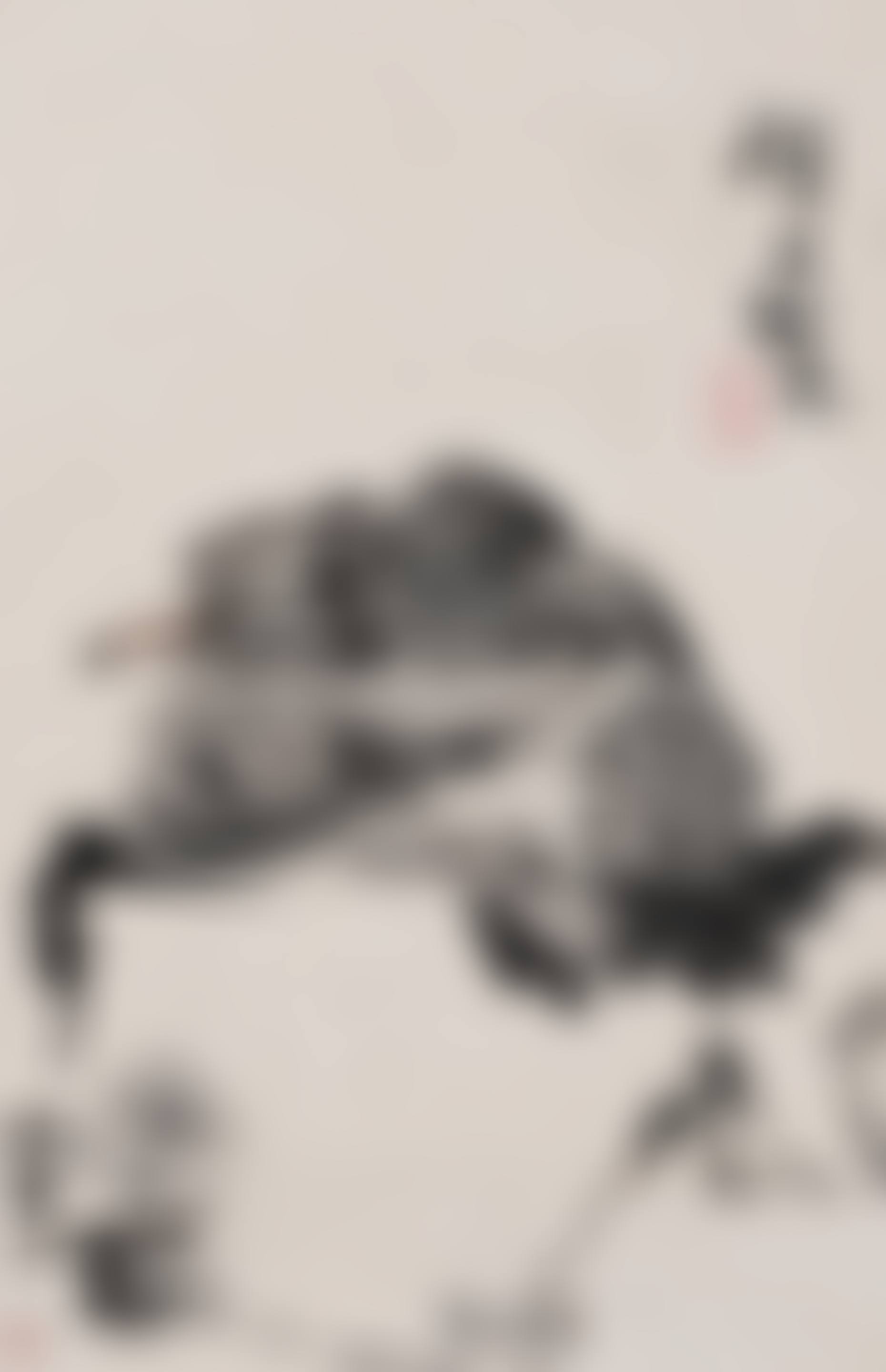 Bird on a Rock (preview)