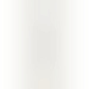 NO. 990218-4 (preview)