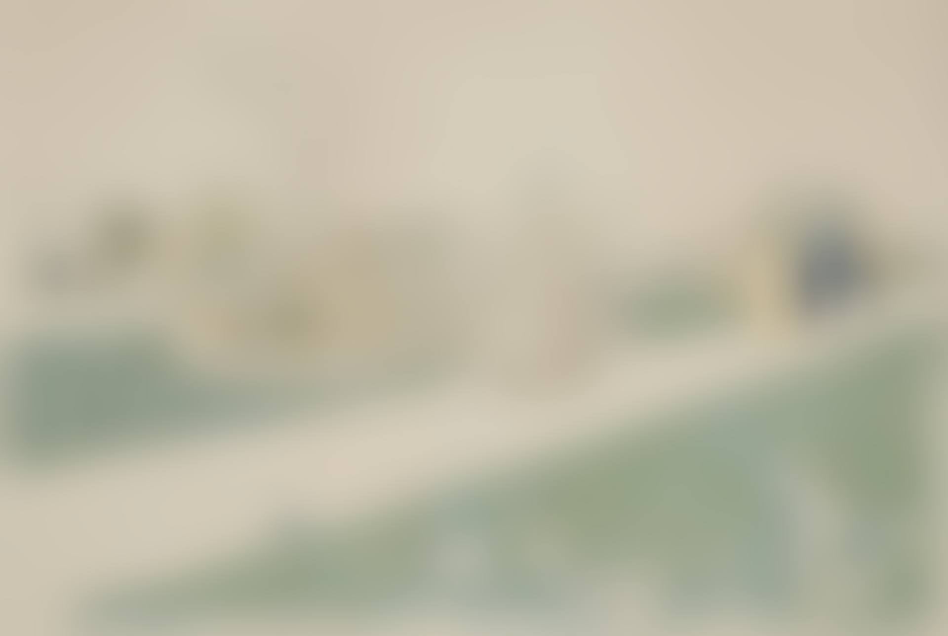 Le Jardin des Tuileries (Roger-Marx 28 ii/ii) (preview)