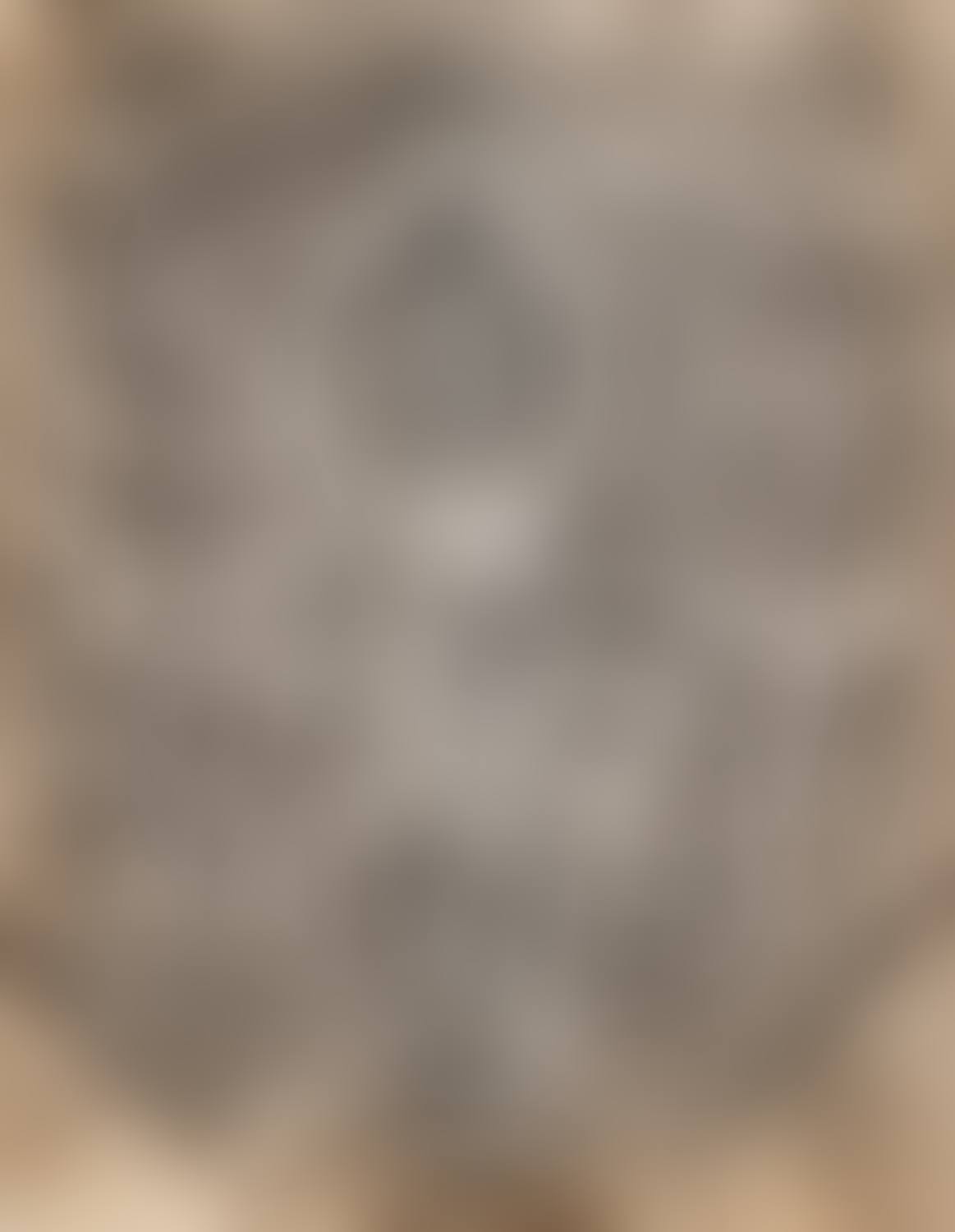 Detail of a Senufo Sculpture (preview)