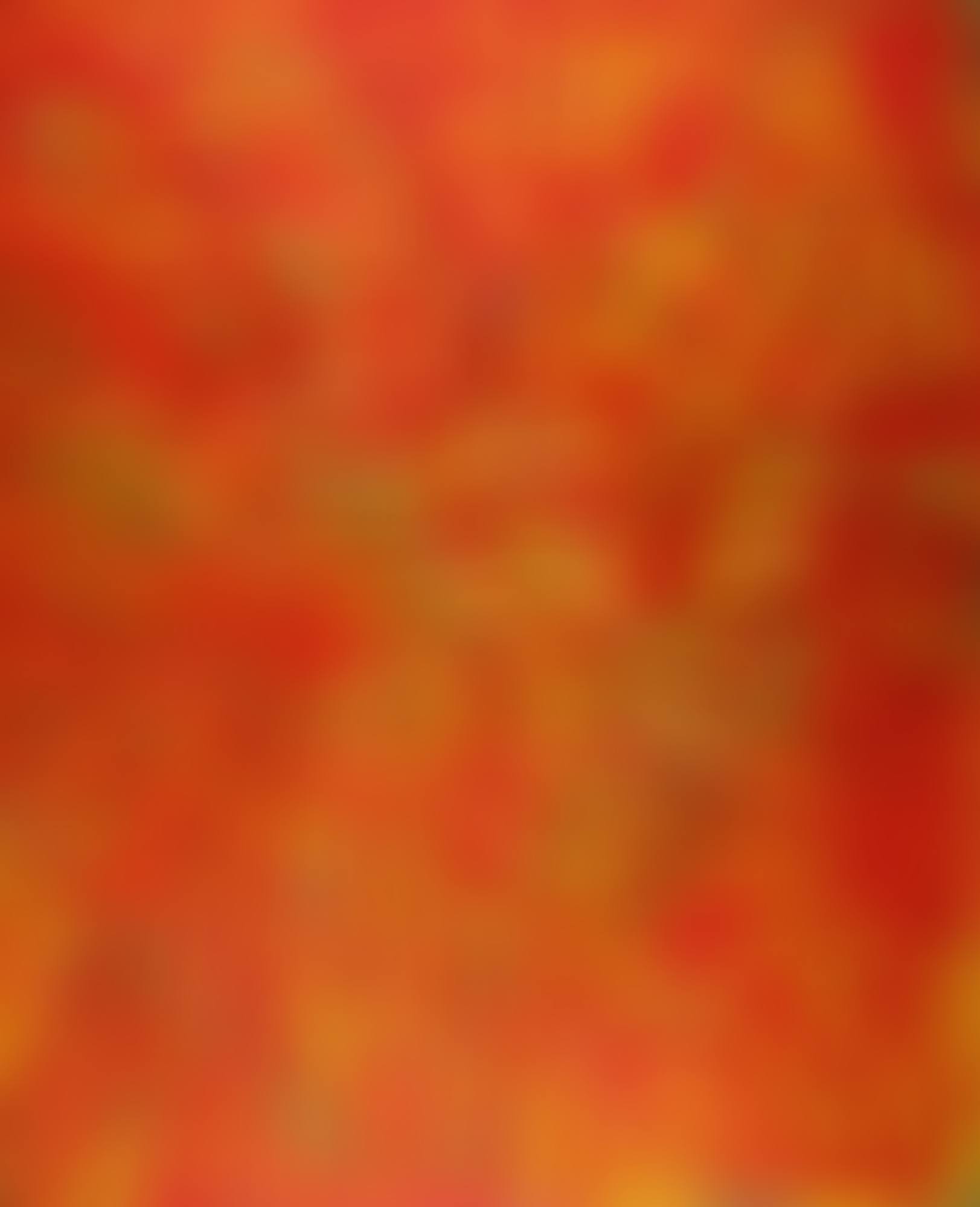 Fertile Desert (preview)