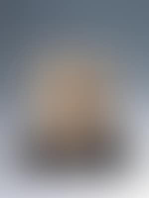 Untitled (preview)