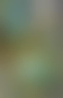 Untitled (preview)