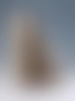 Untitled (Ombra di due parallelepipedi) (preview)
